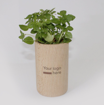 Wooden set to grow a plant