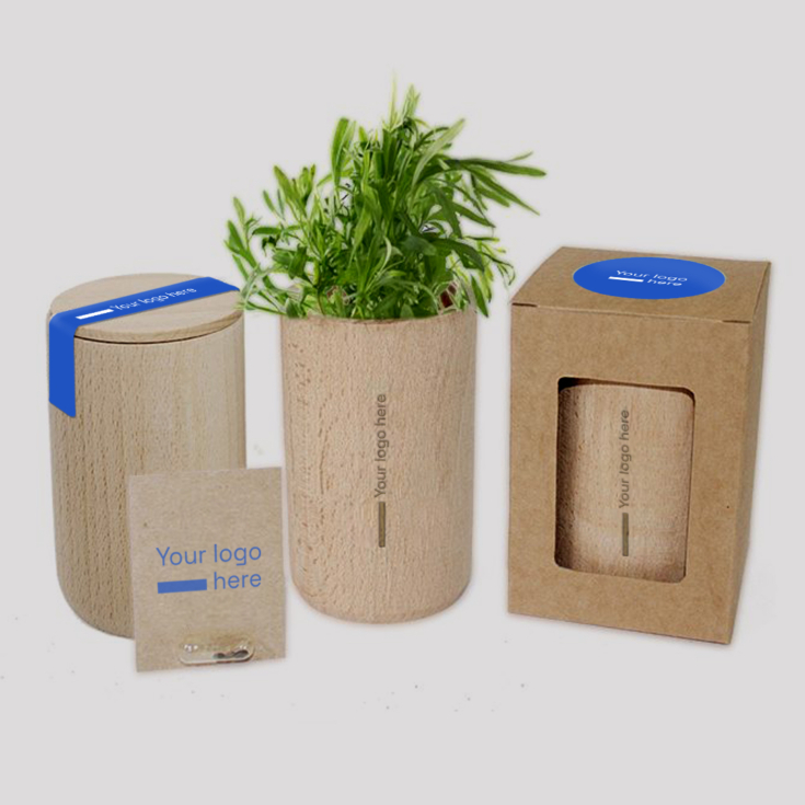 Set en bois pour faire pousser une plante MerchUp