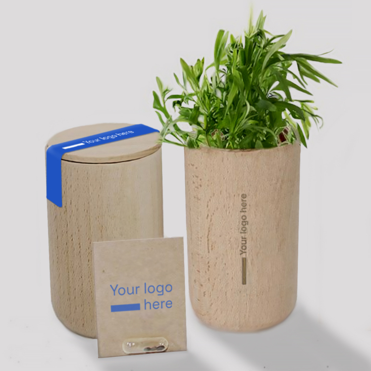 Set en bois pour faire pousser une plante MerchUp