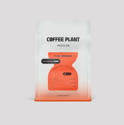 COFFEE PLANT bean coffee