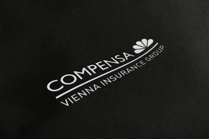 Sweatshirts for Compensa - decoration on sweatshirts