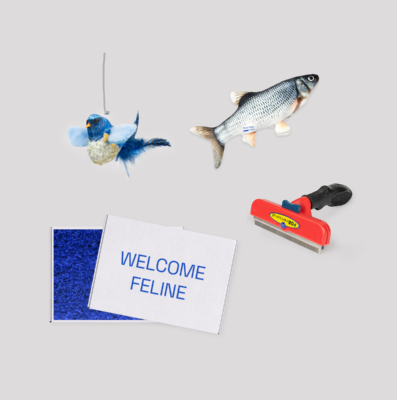Welcome Feline