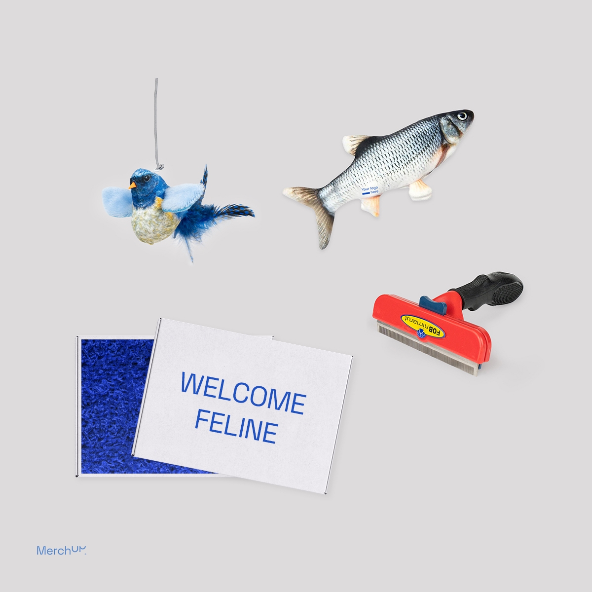 Welcome Feline