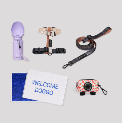Welcome Doggo