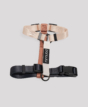 Guard dog harness