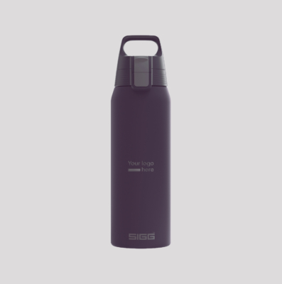 Sigg Shield Thermal Bottle
